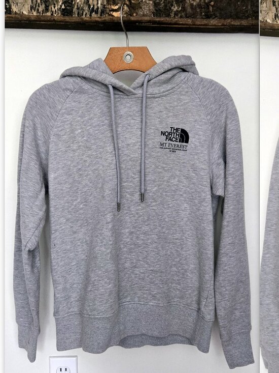 The North Face Sweaters - The North Face Women's Mountain Peaks Collectables Hoodie